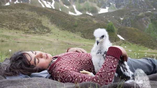 Братята на вятъра