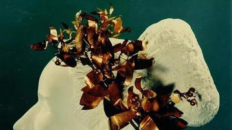 Национален антропологичен музей