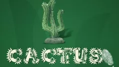 Cactus (център)