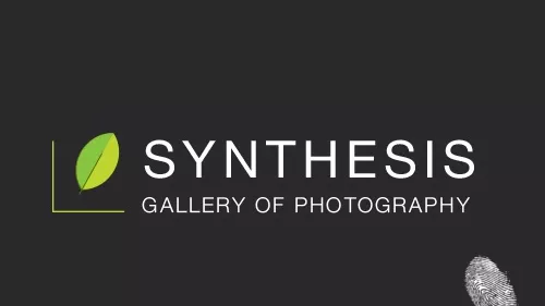Галерия Synthesis