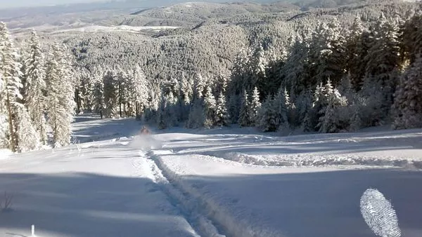 Да се пуснеш по улея