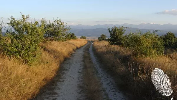 Пълен напред!