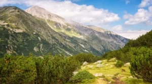 Почивка в Банско с деца