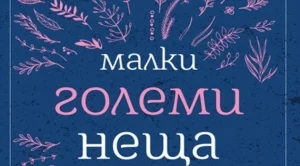 "Малки големи неща" - роман за предразсъдъците и избора