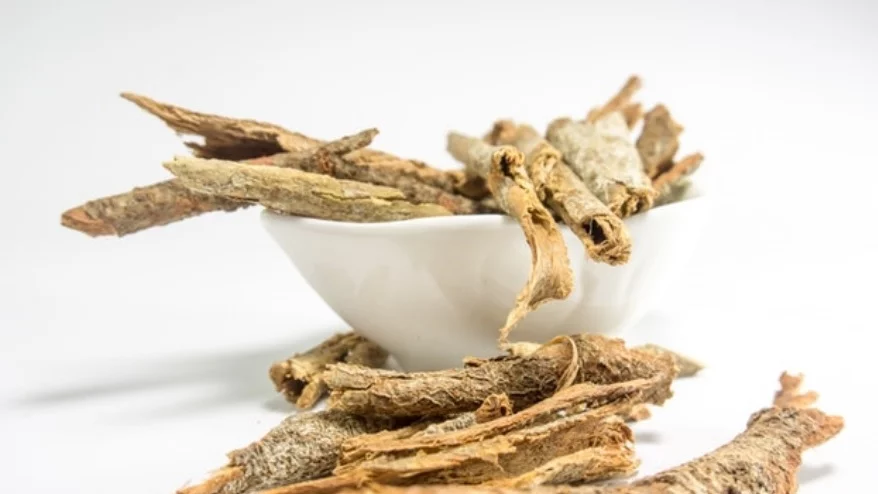 Колко вида алтернативни медицини има?