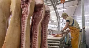  {{ otherArticle[0].article.title }} 