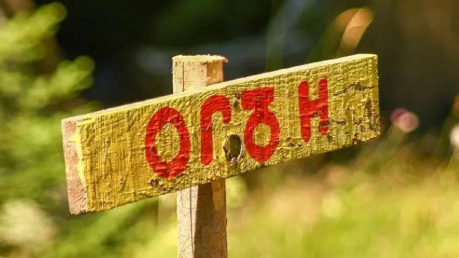 Съ-твори Беглика