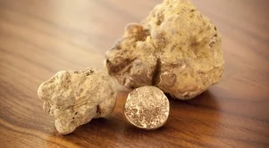 Продадоха специален трюфел за 120 000 евро