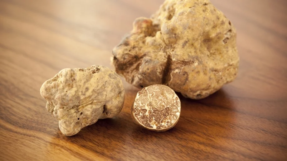 Продадоха специален трюфел за 120 000 евро