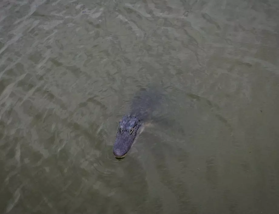 Български тираджия е блокиран във водния капан в Италия (ВИДЕО)