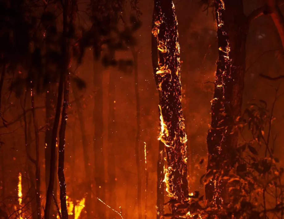 Трета година опустошителни пожари в Сибир, пожарникарите се нуждаят от помощ 