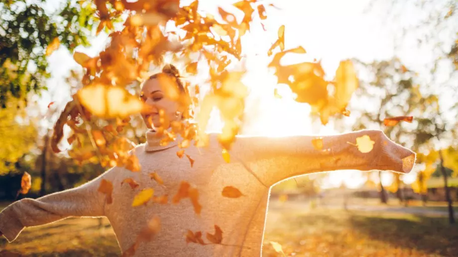 Стихотворение за 20 октомври 2023