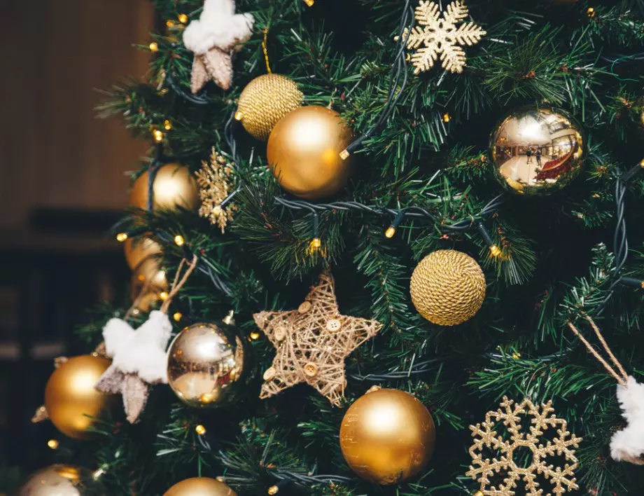 Спор дали да има коледно дърво в Бордо 