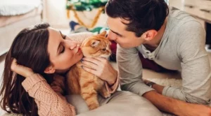 Романтичен ден очаква една зодия на 12 декември 