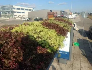 Еко автобусни спирки са последната новост в Бургас