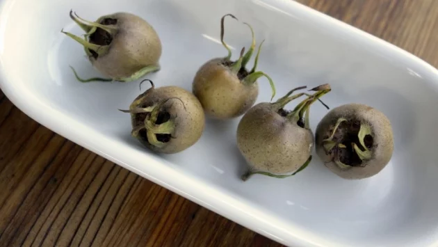 Защо не трябва да пренебрегваме мушмулите?