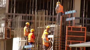 Работата в жегите носи риск от трудови злополуки