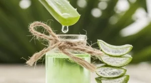 Маслото от алое вера – силен помощник в грижата за красотата