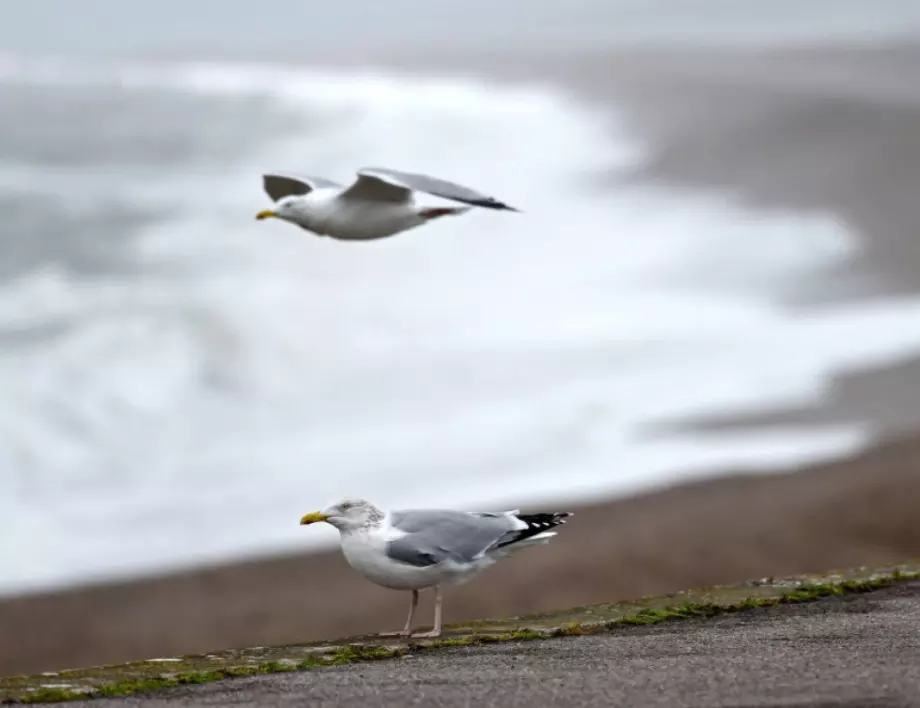 Буря и свиреп вятър повреди къщи на Лесбос