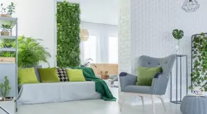 Трябва да го имате в дома си: Това растение е официалният хит на 2024