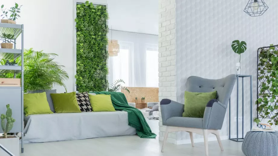 Трябва да го имате в дома си: Това растение е официалният хит на 2024