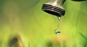 2020/01/29/0436221001580289014