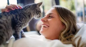 Коя е най-подходящата за вас порода котка, според зодията ви      