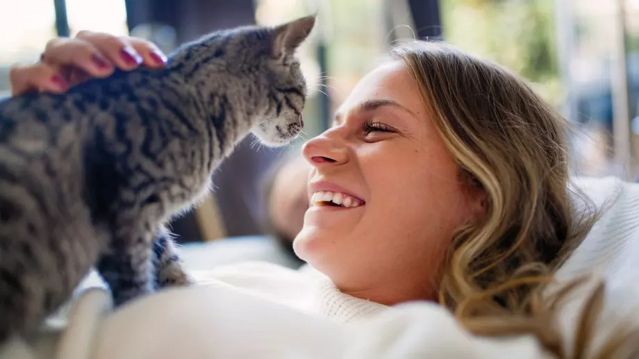 Коя е най-подходящата за вас порода котка, според зодията ви      