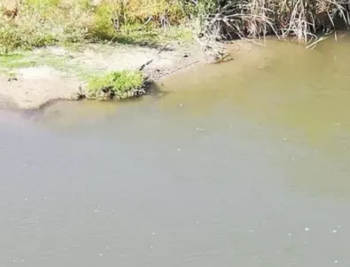 Продължават скандалите заради замърсяване на река Луда Яна