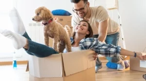 6 неща, които всяка двойка „домошари“ трябва да притежава 