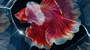 "Жажда" - психологически роман за семейството