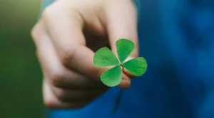 Късметче за всяка зодия за 29 февруари