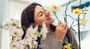 Как правилно да се грижите за орхидея