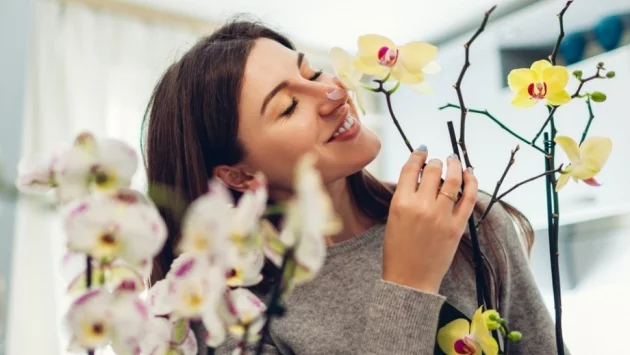 Как правилно да се грижите за орхидея