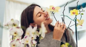 Нещо ново и прекрасно за една зодия на 10 април