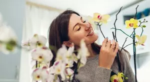 Шепа ориз в саксията на орхидеята прави чудеса