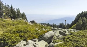 Фандъкова затвори Витоша за туристи