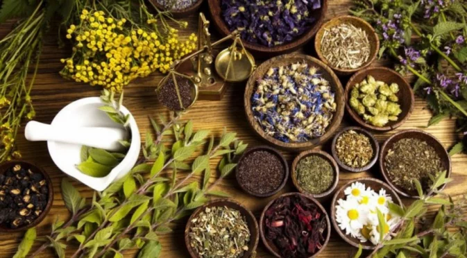 7 лечебни билки и техните ползи за здравето