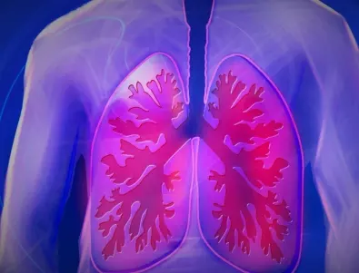 Над 400 000 души страдат от астма в България 