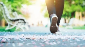 Вече глобяват по 5000 лв за разходка в парк