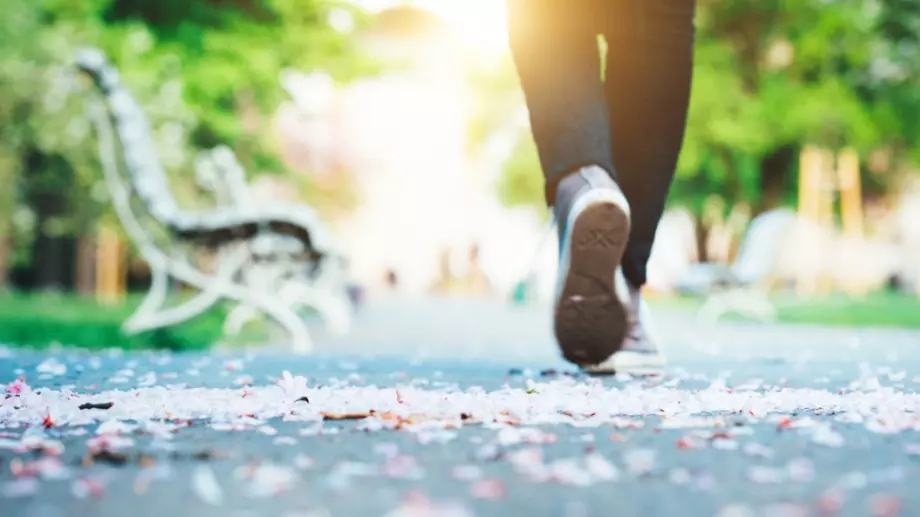 Държавата събира милиони от глобите за разходки в парка