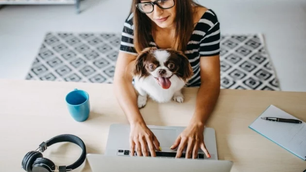 Погрижете се за очите си, ако работите вкъщи 