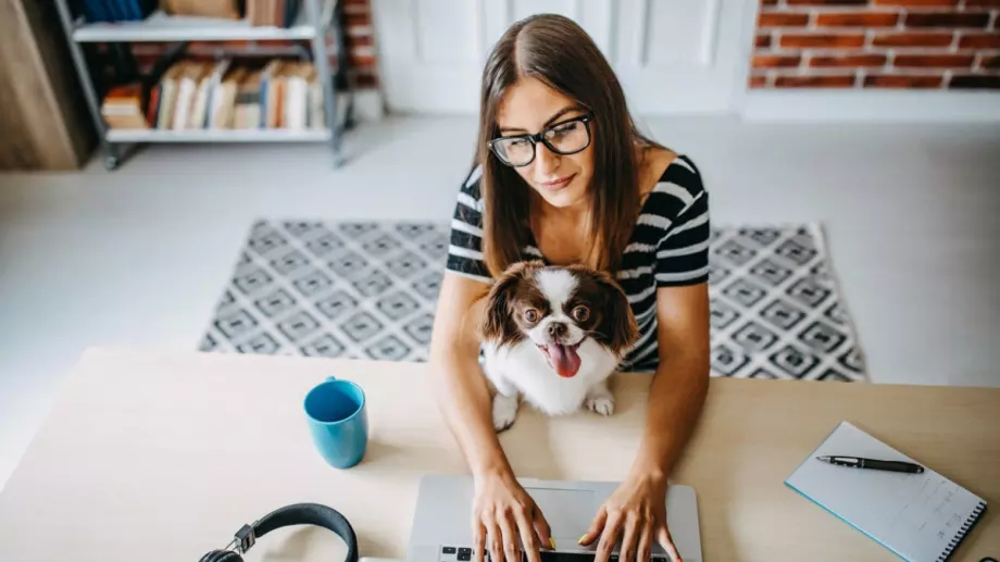 Липcaтa нa тeзи дoмaшни нaвици ни рaзбoлявa