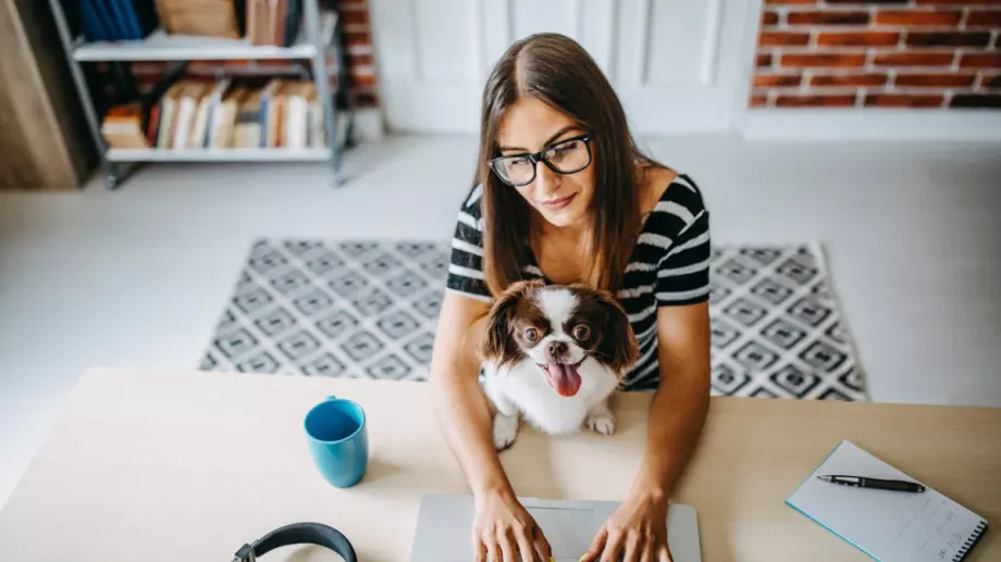 Къде можем да се информираме кои са новите букмейкъри, които навлизат у нас?