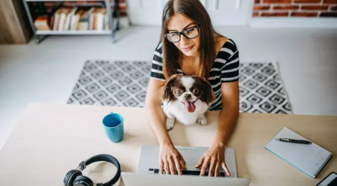 Как да открием перфектните мебели онлайн