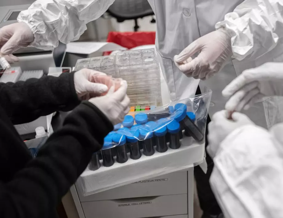 Нова надежда срещу коронавируса: Съществуващо човешко антитяло може да го блокира