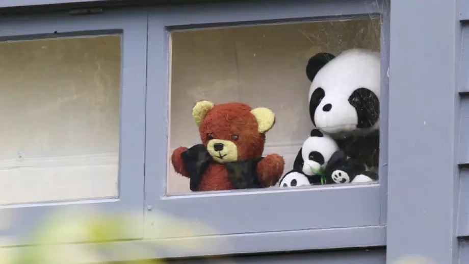 Старо плюшено мече, купено от битак, отива на търг за над 4000 паунда