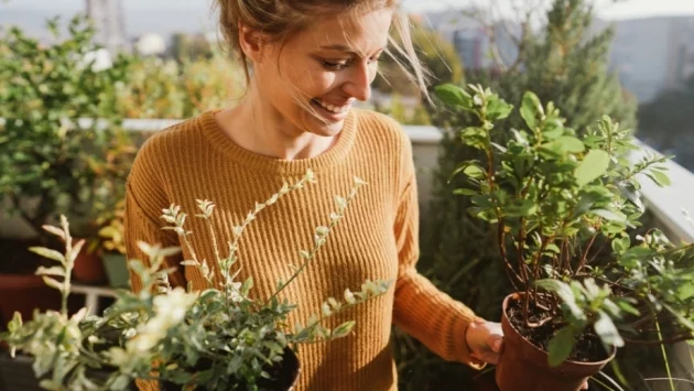 Градина на балкона? И още как!