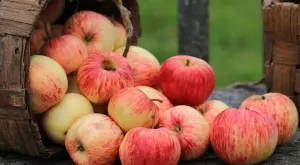 6 невероятни ползи за здравето от ябълките