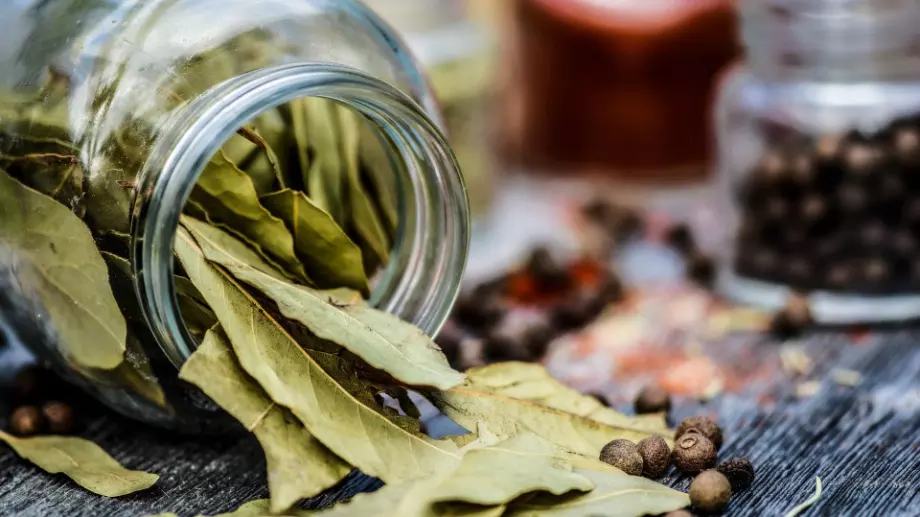 Всеки трябва да сложи дафинов лист над входната врата. Ето защо!